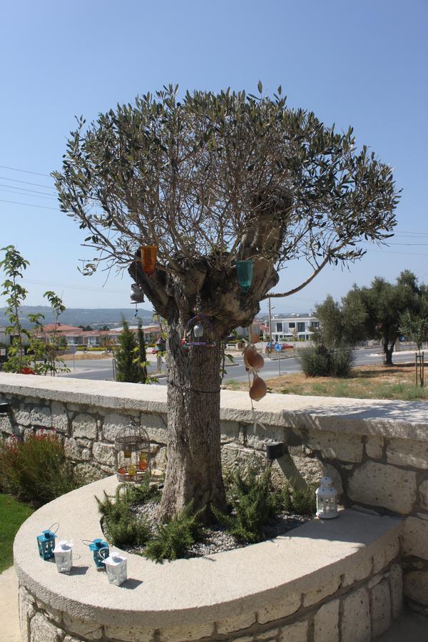 Eritrina Alaçatı Exterior foto